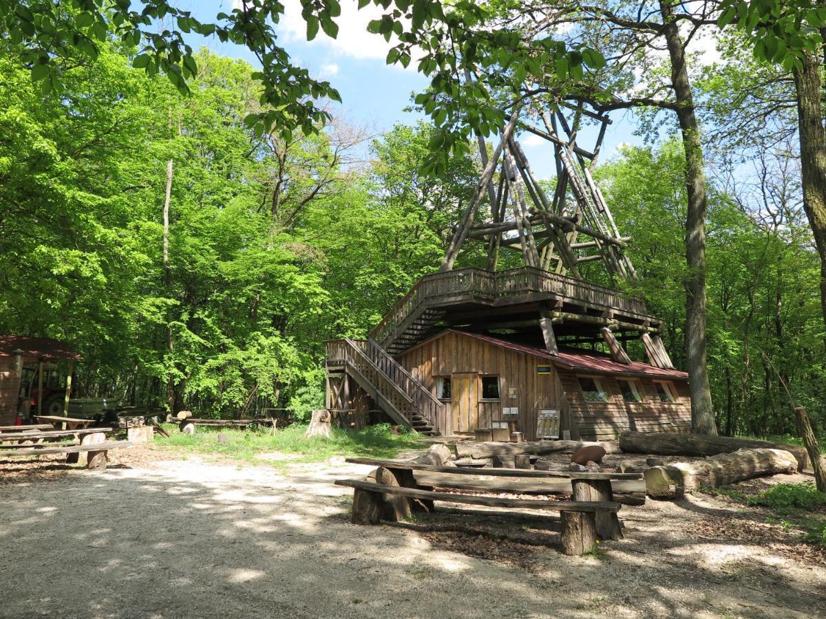 Вилла Ochys Waldfreizeitpark Oberkreuzstetten Экстерьер фото